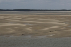 Present day dunes with sinous crest line (3D) - Somme bay
