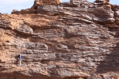 Dunes-3D trough cross bedding -Tidal environment (Ordovician, morocco)
